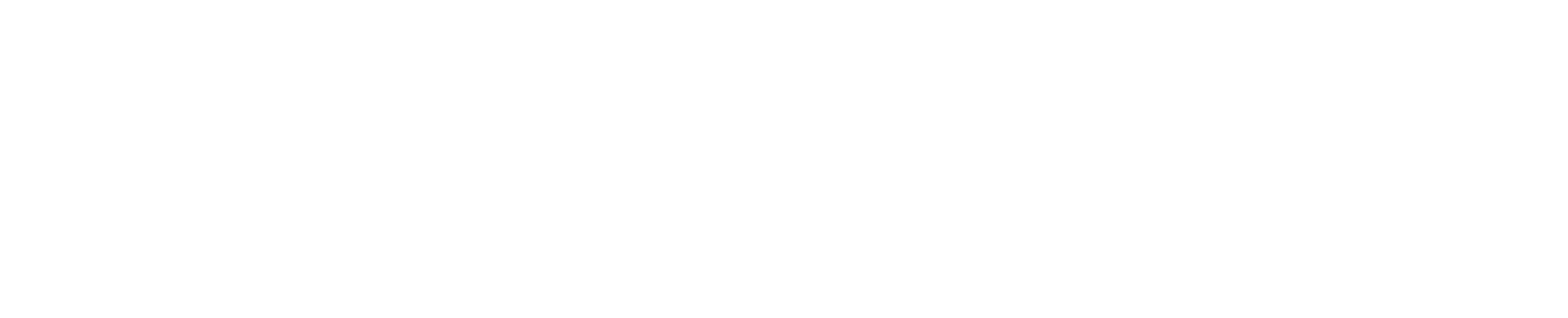 Speed Horse
